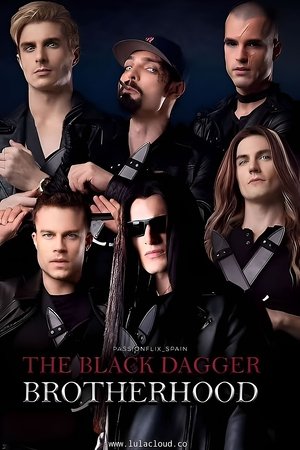 Watch Free The Black Dagger Brotherhood (2025-)