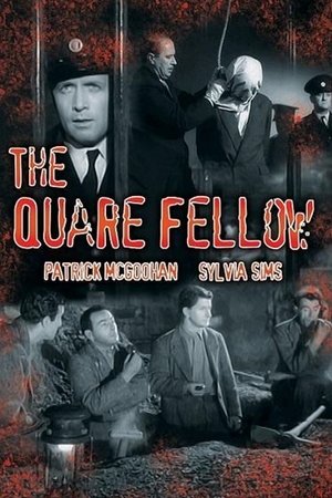 Watch Free The Quare Fellow (1962)
