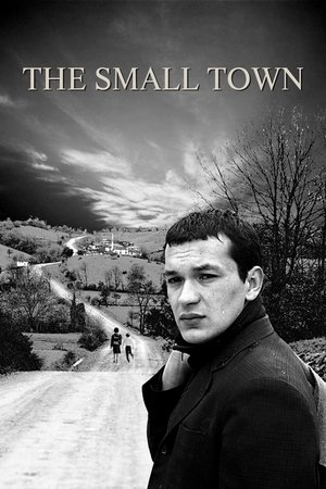 Watch Free The Town (1997)