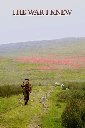 Watch Free D Day Survivor 2016