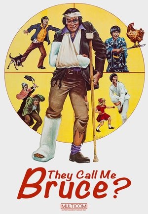 Watch Free They Call Me Bruce (1982)