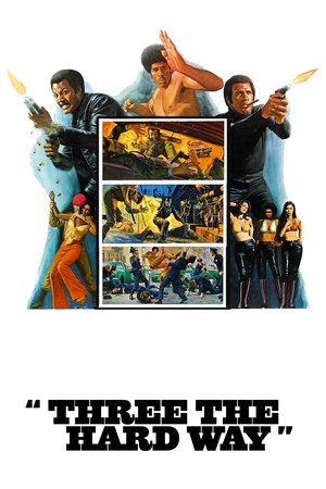 Watch Free Three the Hard Way (1974)