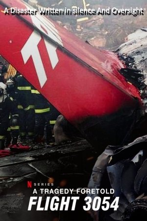 Watch Free A Tragedy Foretold Flight 3054 (2025)