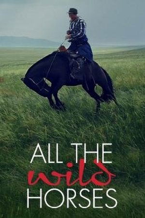 Watch Free All the Wild Horses (2017)