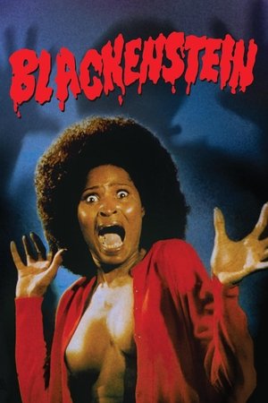 Watch Free Blackenstein (1973)