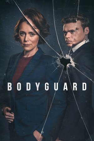 Watch Free Bodyguard (2018)