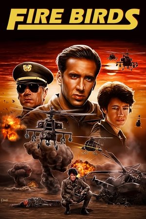 Watch Free Fire Birds (1990)