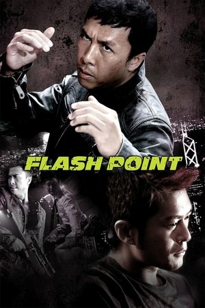 Watch Free Flash Point (2007)
