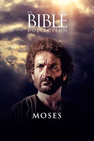 Watch Free Moses (1995)