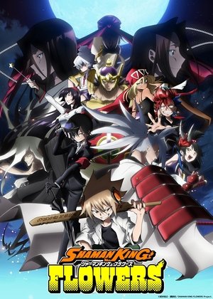 Watch Free Shaman King Flowers (2024-)