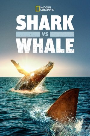 Watch Free Shark vs. Whale (2020)