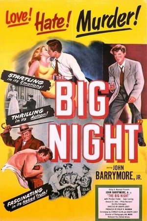 Watch Free The Big Night (1951)