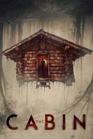 Watch Free A Night in the Cabin (2017)
