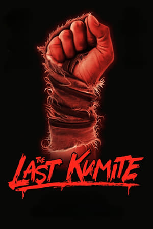 Watch Free The Last Kumite (2024)