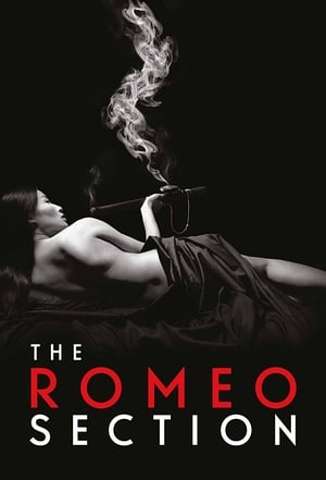 Watch Free The Romeo Section (2015 2016)