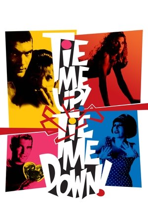 Watch Free Tie Me Up! Tie Me Down! (1989)