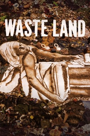 Watch Free Waste Land (2010)