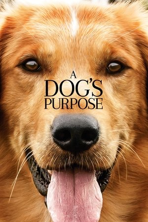 Watch Free A Dogs Purpose (2017)