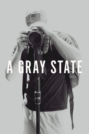 Watch Free A Gray State (2017)