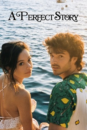 Watch Free A Perfect Story (2023)