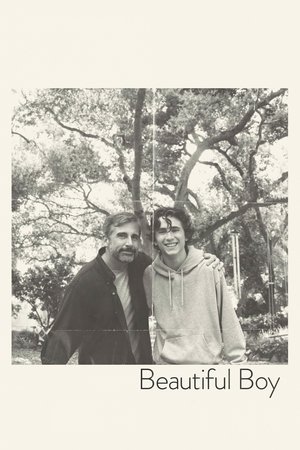 Watch Free Beautiful Boy (2018)