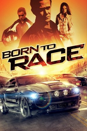 Watch Free Born to Race (2011)