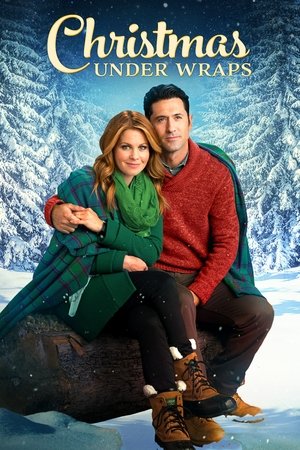 Watch Free Christmas Under Wraps (2014)