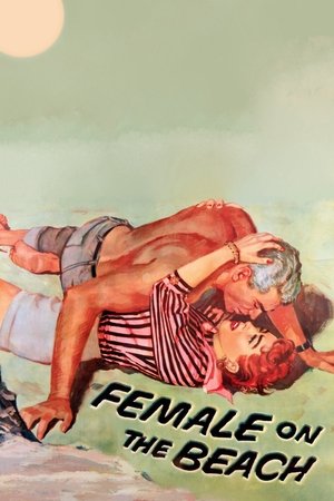 Watch Free Female on the Beach (1955)
