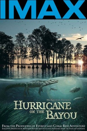 Watch Free Hurricane on the Bayou (2006)