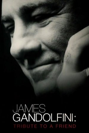 Watch Free James Gandolfini: Tribute to a Friend (2013)