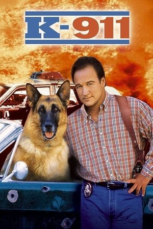 Watch Free K911 (1999)