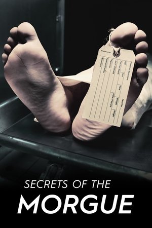 Watch Free Secrets of the Morgue (2018)