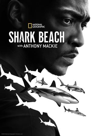 Watch Free Shark Beach with Anthony Mackie (2024)