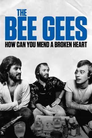 Watch Free The Bee Gees: How Can You Mend a Broken Heart (2020)