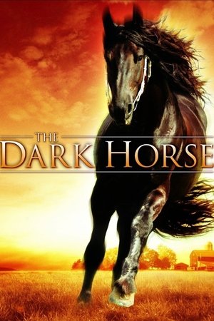 Watch Free The Dark Horse (2008)