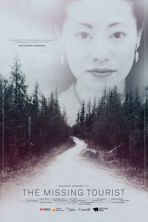 Watch Free The Missing Tourist (2017)