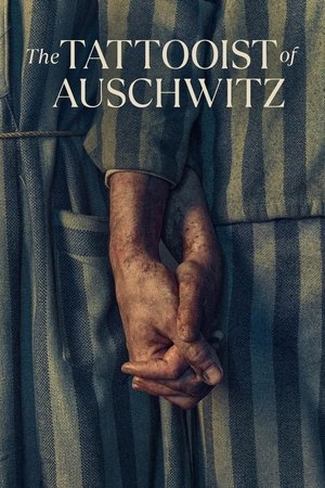 Watch Free The Tattooist of Auschwitz (2024-)