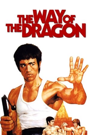 Watch Free The Way Of The Dragon (1972) Bruce Lee