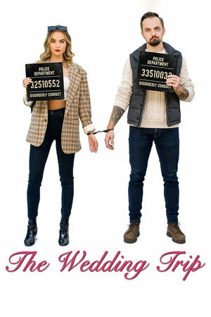 Watch Free The Wedding Trip (2021)