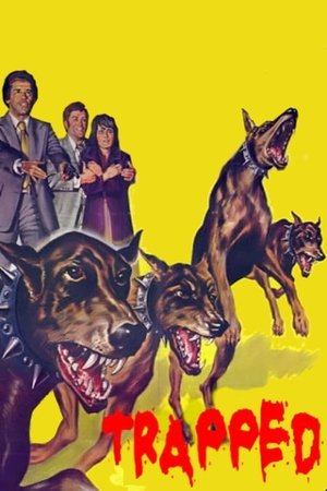 Watch Free Trapped (1973)