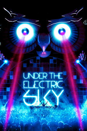 Watch Free Under the Electric Sky (2014)