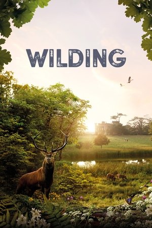 Watch Free Wilding (2023)