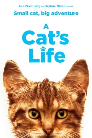 Watch Free Mon chat et moi, la grande aventure de Rrou (2023)