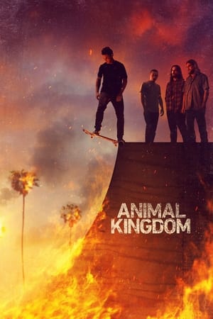 Watch Free Animal Kingdom