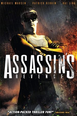 Watch Free Assassins Revenge (2018)