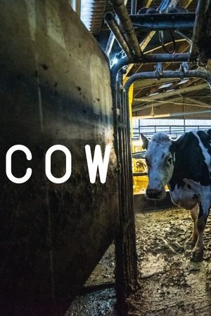 Watch Free Cow (2021)