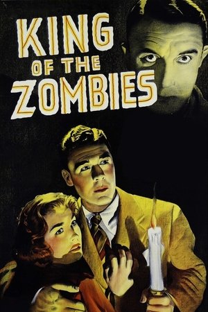 Watch Free King of the Zombies (1941)