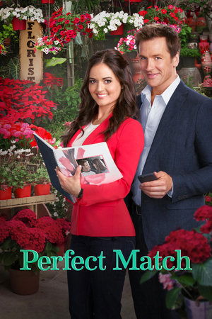 Watch Free A Perfect Wedding (2015)