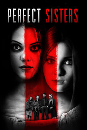 Watch Free Perfect Sisters (2014)