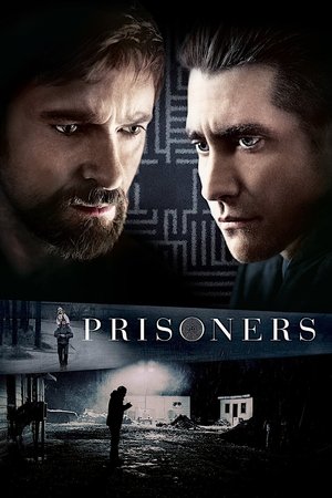 Watch Free Prisoners 2013 